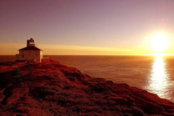 St. Johns: Cape Spear and City Tour With Local Guide - Frequently Asked Questions