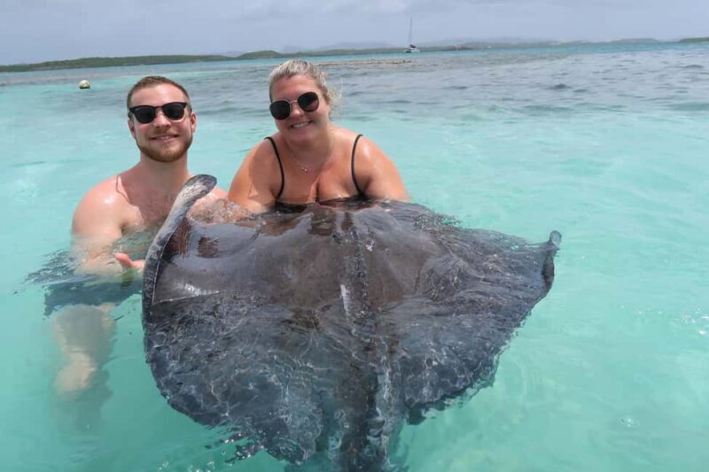 St. John's; Combo Laviscount Island & Swimming with Stingray - Antigua’s Ultimate Combo Tour: Swimming with Stingrays & Visiting Laviscount Island