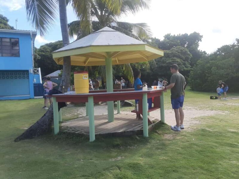 St. John's; Combo Laviscount Island & Swimming with Stingray - Good To Know