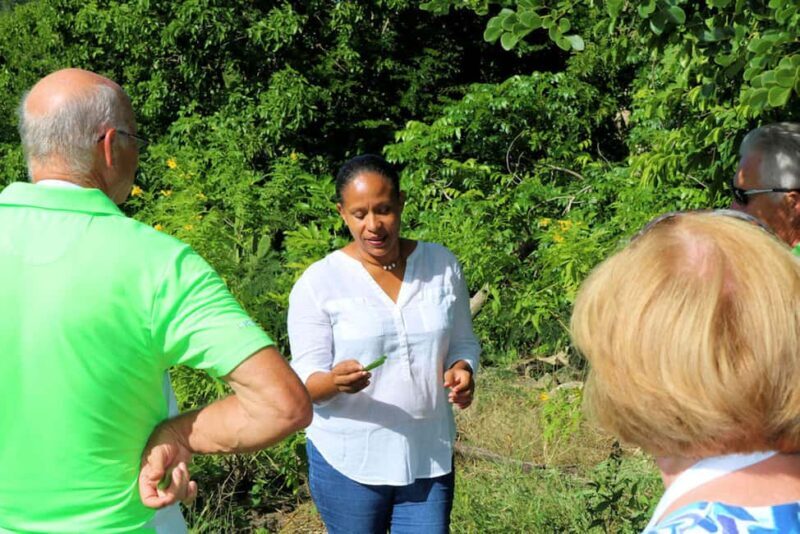 St. John's: From the Sea Cooking Class - Good To Know