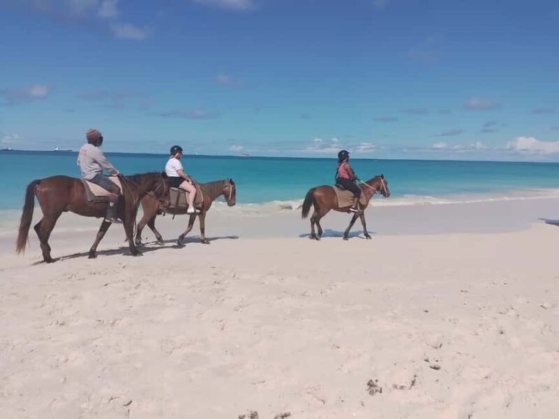 St. Johns: Horseback Riding Bareback Swim, &Fort James Beach - Frequently Asked Questions
