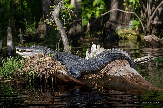 St. Johns River Lunch and Dinner Cruises in Sanford, Florida - FAQs  