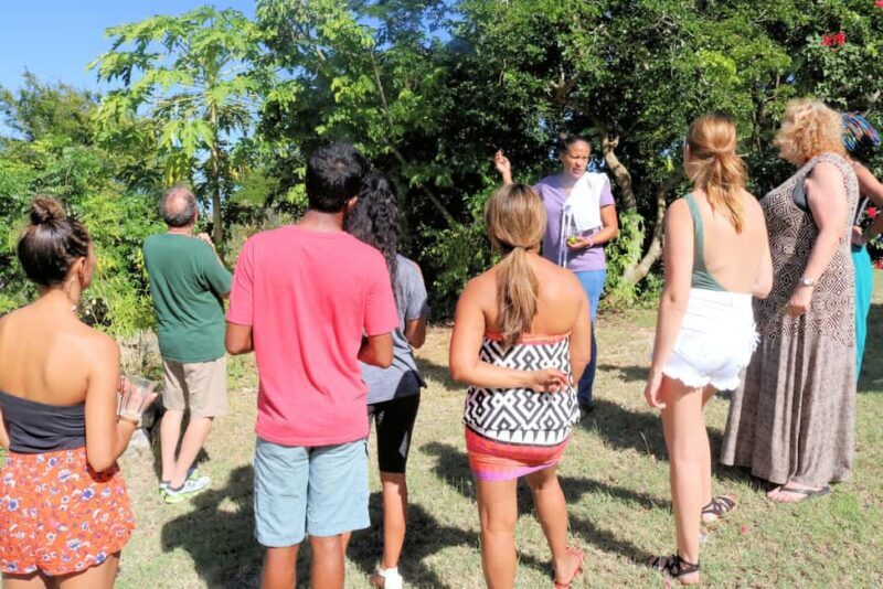 St. John's: Rum Cooking Class with 6 Rum Tastings - Who Will Love This Tour?