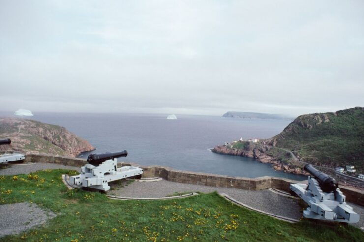 St John's: Small Group Guided Tour by Car - Tour Overview