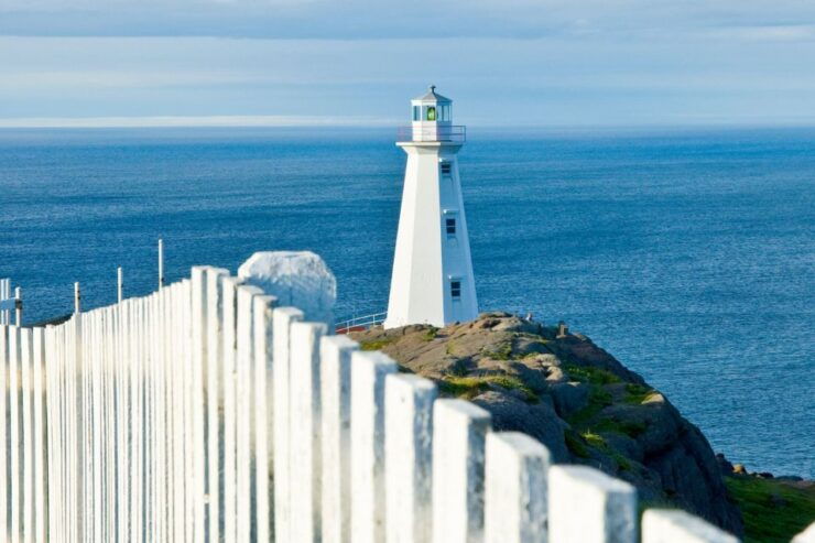 St John's: Small Group Guided Tour by Car - Tour Details