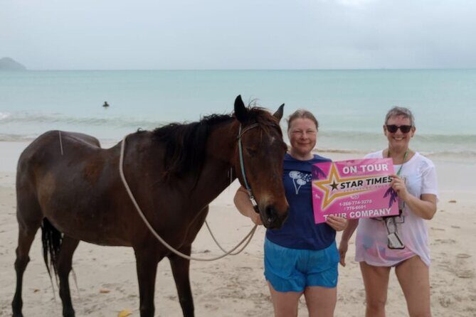 St. John's,Antigua Horse Back Riding & bareback swim & Fort beach - The Experience: From Heritage Quay to Fort James