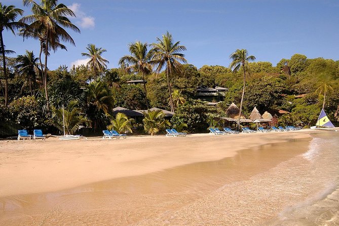 St Kitts Half Day Party Bus Excursion and Beach (Feb ) - Excursion Overview