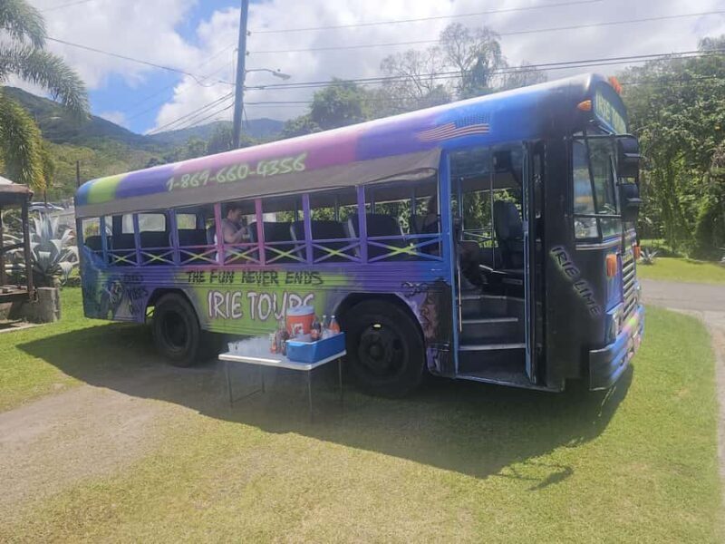 St. Kitts: Irie Open-Air Tour, Rum Tasting & Beach Time - Who Is This Tour Best For?