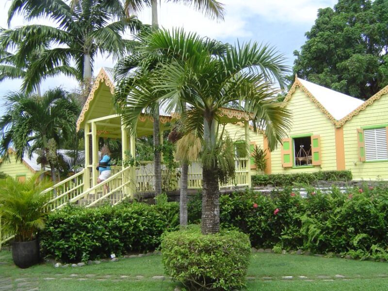 St. Kitts Island Half-Day Bus Tour - Authentic Insights from Reviewers