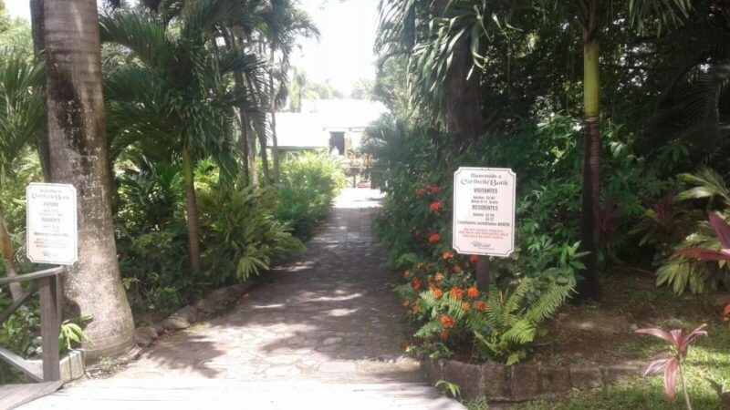 St. Kitts Island Half-Day Bus Tour - Who Will Love This Tour?