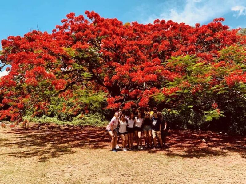 St. Kitts: Private Island Highlights Shore Excursion - Exploring St. Kitts: A Private Island Highlights Shore Excursion