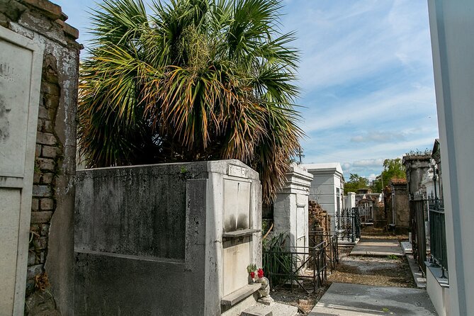 St. Louis Cemetery No. 1 Official Walking Tour - Enters the Cemetery - Additional Information and Accessibility