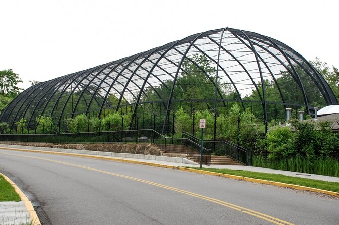 St. Louis Zoo Hunt: Adventure at the St. Louis Zoo - Experience Details