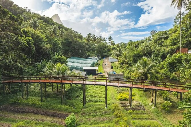 St Lucia Airport Transfer to Hotel Chocolat - Booking Information and Steps