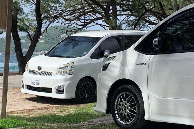 St Lucia Bamboo Rafting Experience (+Rum Tasting) - The Itinerary: A Closer Look