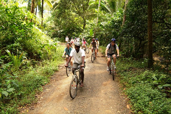 St Lucia Bike and Hike - Experience Highlights