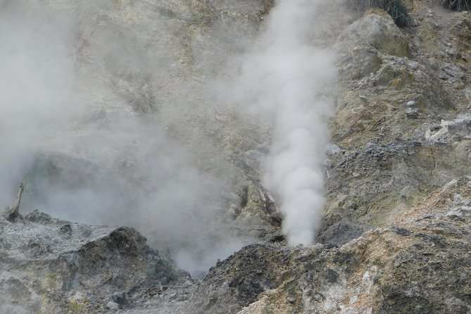 St Lucia Castries to Pitons Tour - Positive Feedback on Tour Guides