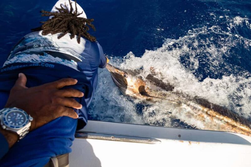 St. Lucia: Full-Day Private Fishing and Snorkeling Charter - An In-Depth Look at the Experience