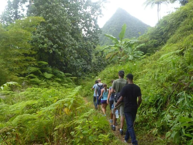 St. Lucia: Gros Piton Hike with Transportation - Good To Know