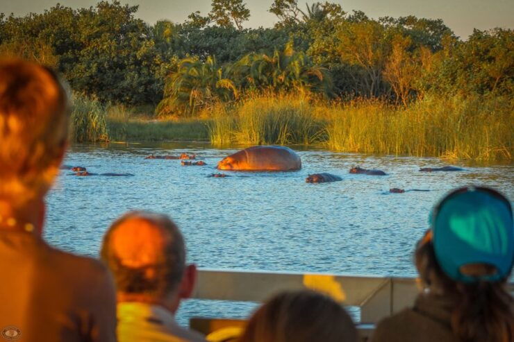 St Lucia: Hippo and Crocodile Cruise on a 15-Seat Vessel - Good To Know