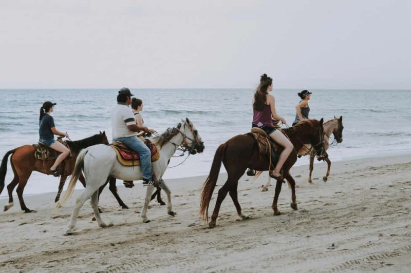 St. Lucia: Horseback Riding on the Beach with Swim - Good To Know