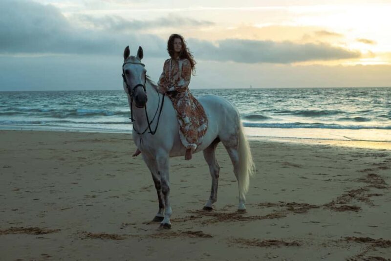 St. Lucia: Horseback Riding on the Beach with Swim - The Experience from the Guides’ Perspective