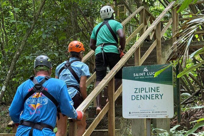 St. Lucia Horseback Riding & Zip Lining Adventure Tour - A Complete Breakdown of the Tour