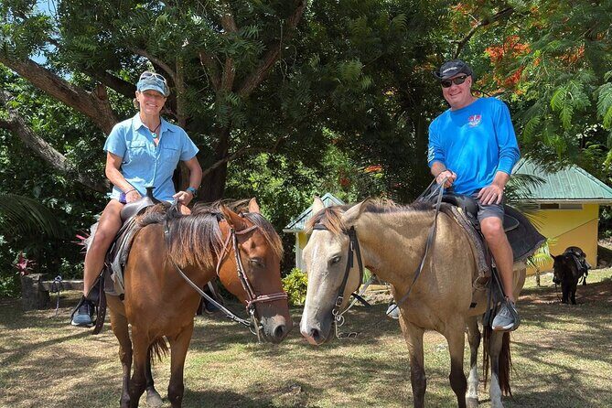 St. Lucia Horseback Riding & Zip Lining Adventure Tour - Authentic Experiences from Past Travelers