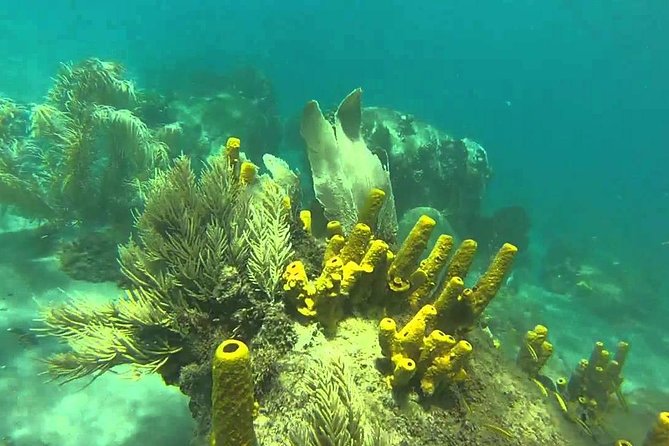 St Lucia Land Taxi to Snorkel at Anse Chastanet Beach - Private Land Taxi Transfer Details