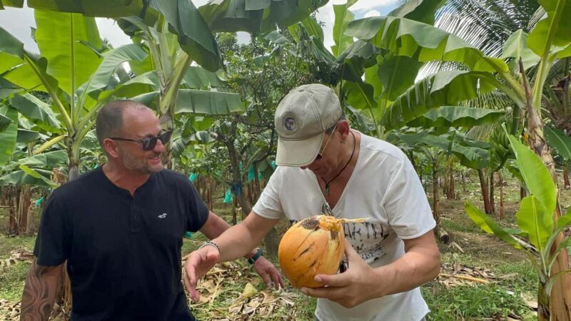 St. Lucia: Marigot Bay and Banana Plantation Tour - Practical Details and What to Bring