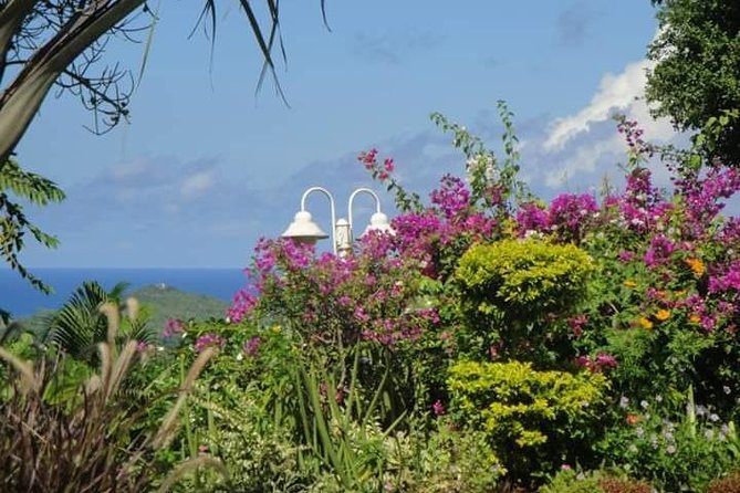 St Lucia Northern Island Tour - Pickup Points and Logistics