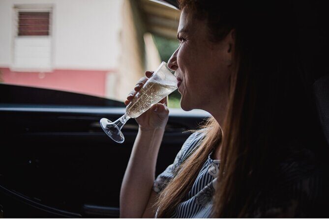 St Lucia Private Airport Transfer - Vacation Mode Activated! - The Value for Money