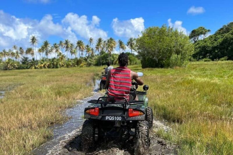 St. Lucia: Private ATV Tour - The Sum Up