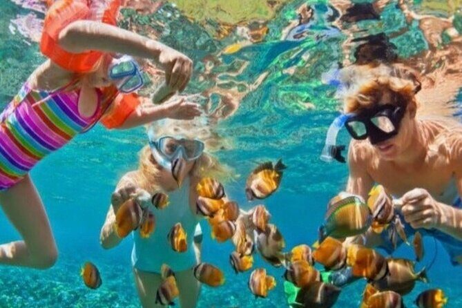 St Lucia Private Boat Tour/Sightseeing/Snorkeling - An In-Depth Look at the Tour Experience