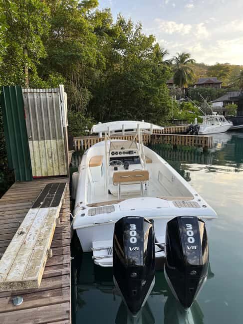 St Lucia: Private Speed Boat Tour from Castries - Practical Details and What to Expect
