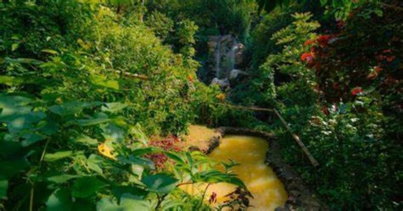 St. Lucia: Safi Estate, Volcano Waterfalls Experience - Why This Tour Is Worth Your Time