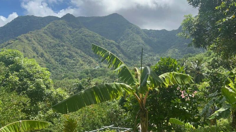 St. Lucia: Safi Estate, Volcano Waterfalls Experience - What the Reviews Tell Us