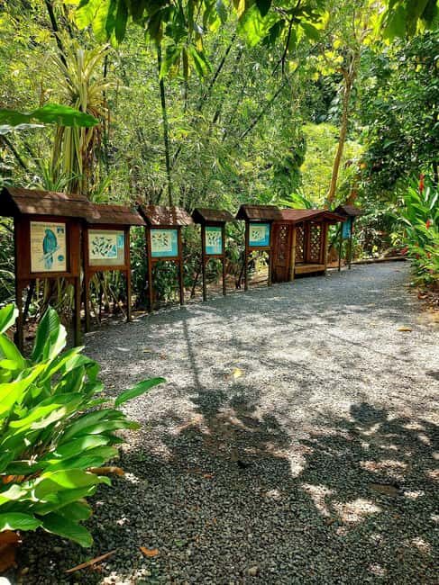 St. Lucia: Scenic Nature Hike & Botanical Garden Escape - The Journey Begins: From Pickup to Scenic Drive
