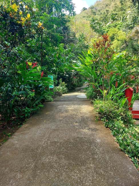 St. Lucia: Scenic Nature Hike & Botanical Garden Escape - Authentic Flavors and Local Culture