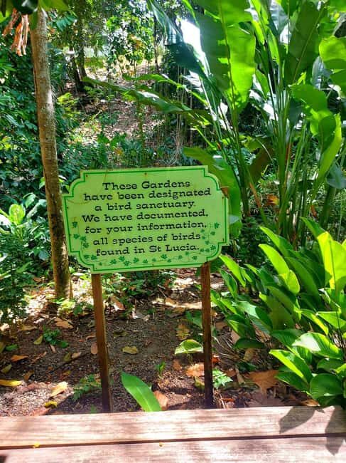 St. Lucia: Scenic Nature Hike & Botanical Garden Escape - Practical Details and What to Expect