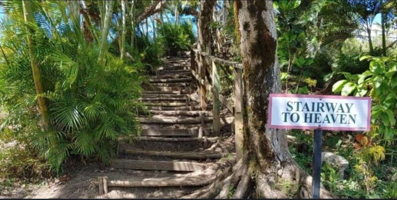 St. Lucia: Scenic Nature Hike & Botanical Garden Escape - Who Should Consider This Tour?