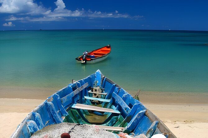 St Lucia Signature Day (Chocolates, Mud Baths and Sugar Beach) - Who Will Love This Experience?