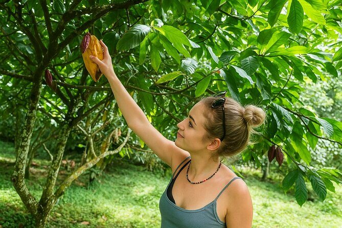 St Lucia Soufriere Private Chocolate Tour - Practical Details and Tips  