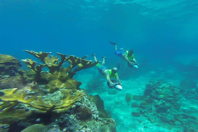 St. Lucia Speedboat and Power Snorkel From Castries - FAQs