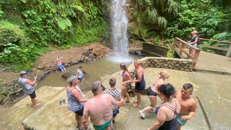 St Lucia Sulphur Springs Drive- in Volcano Tour & Waterfall - A Closer Look at the Highlights
