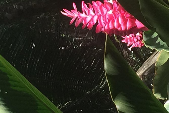 St. Lucia: Tet Paul, Diamond Gardens, Drive-In Volcano  - Vieux Fort - Highlights of Tet Paul Nature Trail