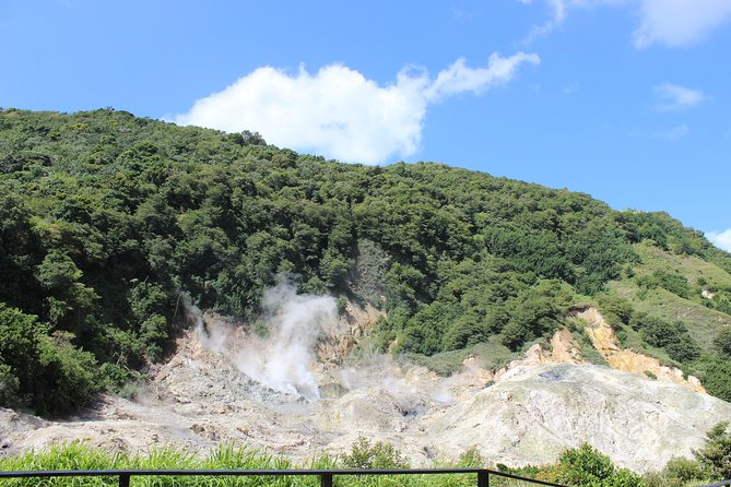 St. Lucia: Tet Paul, Diamond Gardens, Drive-In Volcano  - Vieux Fort - Discovering the Charm of Small Fishing Villages