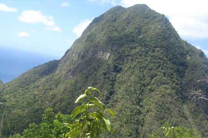St. Lucia: Tet Paul, Diamond Gardens, Drive-In Volcano  - Vieux Fort - Common Questions