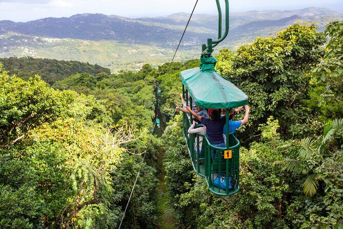 St Lucia Ultimate 3 Package: Aerial Tram, Zipline and Hiking - Good To Know