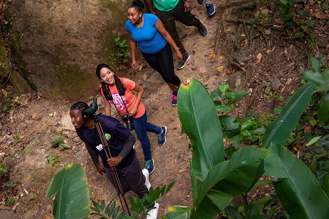 St Lucia Ultimate 3 Package: Aerial Tram, Zipline and Hiking - The Value Proposition